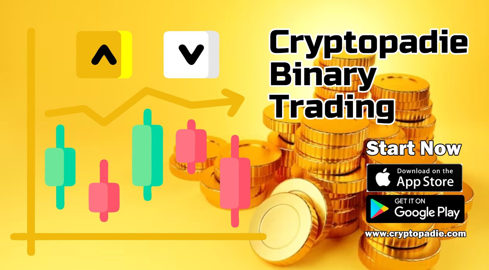 Maximizing Your Portfolio: A Guide to Binary Trading on Cryptopadie
